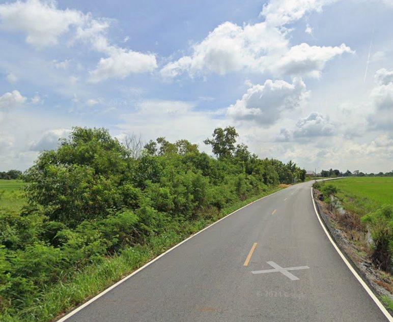 ขายที่ดินบางเตย 2 ไร่ ติดถนน2ด้าน ใกล้โรบินสันฉะเชิงเทรา 6 กม. อ.เมืองฉะเชิงเทรา 2