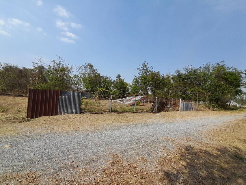 ขายด่วนที่ดิน 101 ตรว โฉนดครุฑแดง ติดถนนวงแหวนรอบเมืองโคราช  #ราคา 750,0000 บาท เท่านั้น #ขายต่ำกว่าราคาประเมิน จุดเด่น  1.ห่างถนนวงแหวนรอบเมืองโครา 4