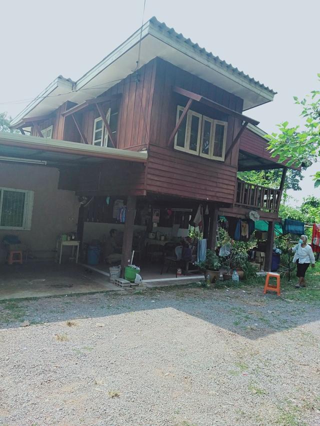 โฉนดที่ดินบ้านสวน ใกล้ตัวเมือง 8