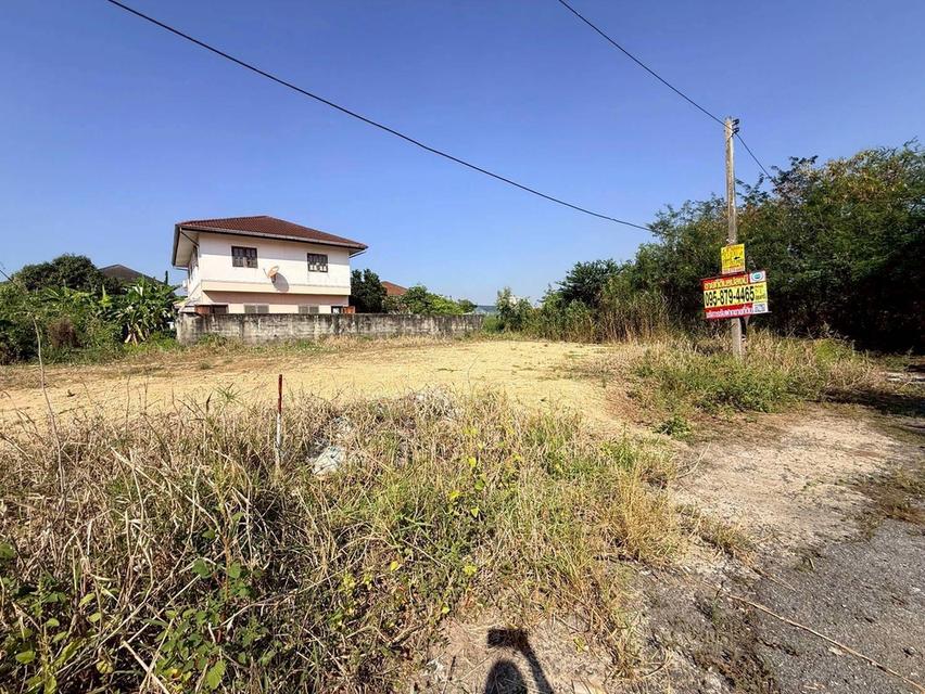 ขายด่วนที่ดินใกล้มหิดล 103 ตรว ถมแล้วทั้งแปลง ซ.สหพร 51 อ.พุทธมณฑล จ.นครปฐม 3