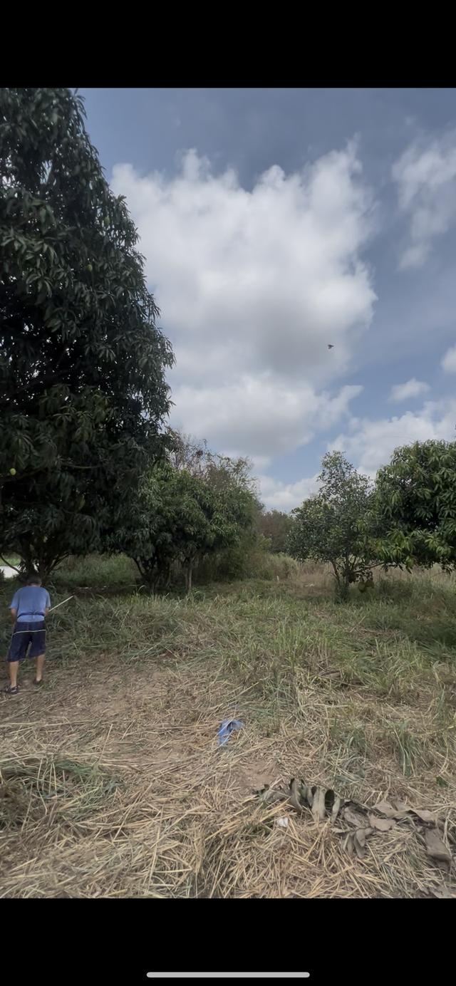 ที่ดิน78 ตรว ราคา780000 3