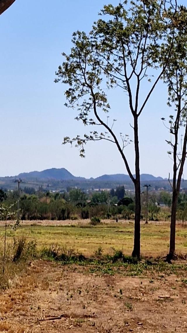 ขายที่ดิน ปากช่อง หนองสาหร่าย 19