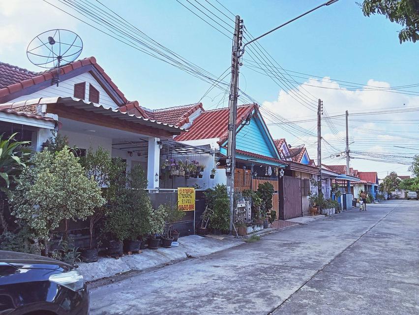 ขายบ้านชั้นเดียว หมู่บ้านกรีนการ์เด้นโฮม คลอง 11 3