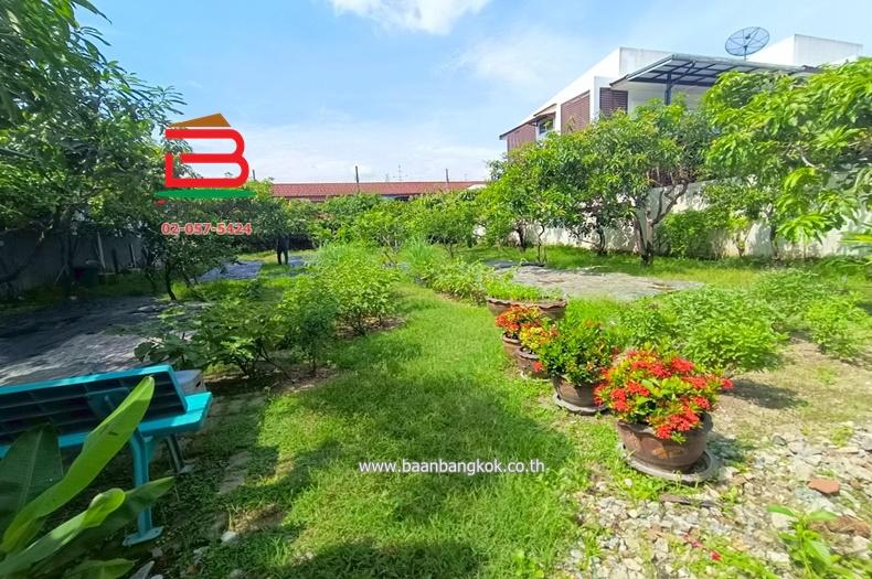ที่ดินแถมบ้าน ซอยพหลโยธิน 47 เนื้อที่ 11 ตรว. ใกล้กรมป่าไม้ ถนนพหลโยธิน แขวงลาดยาว เขตจตุจักร กรุงเทพมหานคร 5