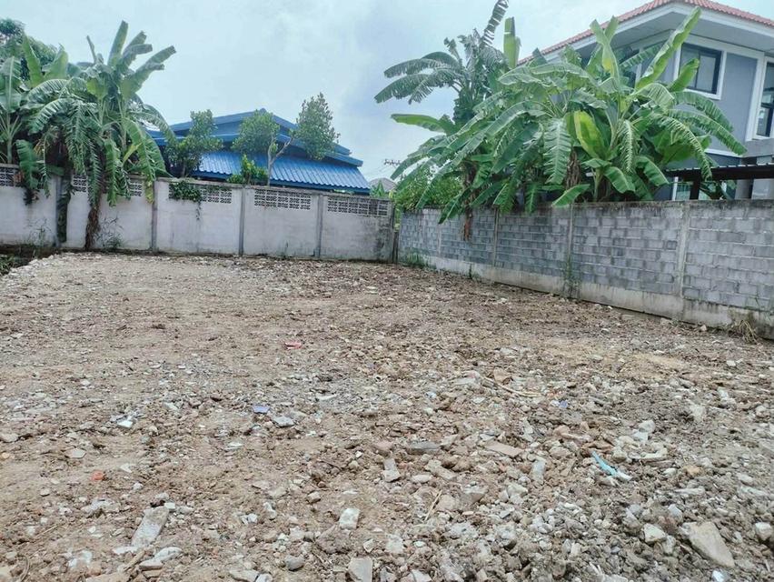 ขายที่ดิน 54 ตรว ติดถนนคอนกรีตสาธารณะ ถมแล้ว หมู่บ้านดินอุดม 7 บางบัวทอง นนทบุรี 1
