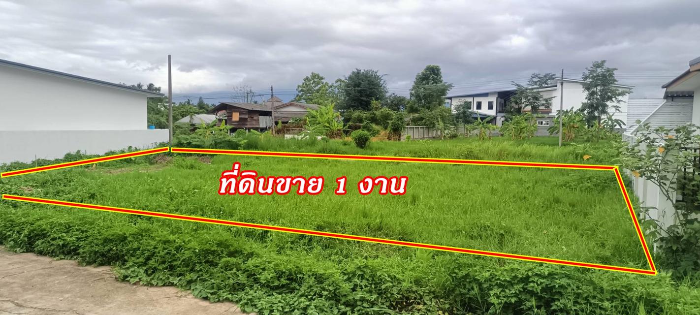 ขายที่ดินสวยพร้อมปลูกบ้านได้ 100 ตารางวา  ต.ป่าไผ่ อ.สันทราย จ.เชียงใหม่ 2