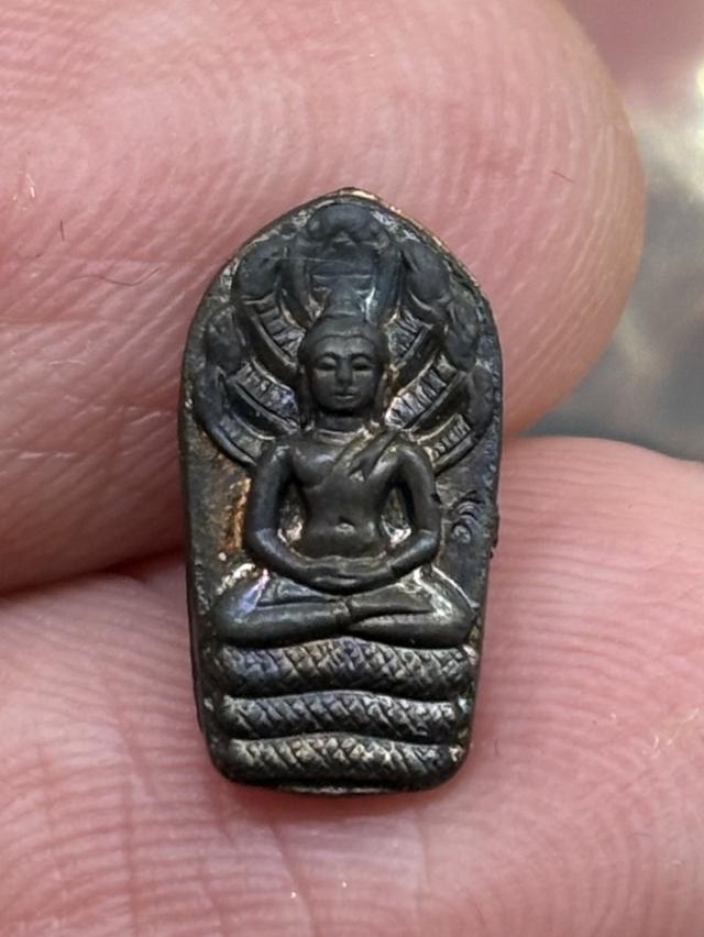 พระนาคปรกใบมะขาม หลวงปู่ม่น วัดเนินตามาก ชลบุรี พ.ศ.๒๕๓๗ กล่องเดิม สวยครับ
