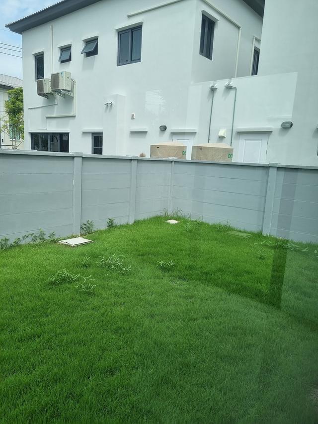 🏡✨ ให้เช่าด่วน! บ้านแฝด Pleno บางนา-สุขุมวิท 53 ตร.ว. (บ้านใหม่ ไม่เคยอยู่) 70,000 บาท/เดือน เฟอร์นิเจอร์ครบ! 6