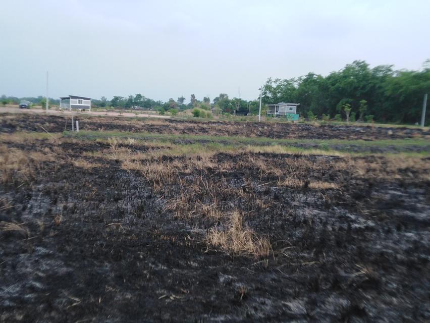 ที่ดิน400-500.ตรางวา 5