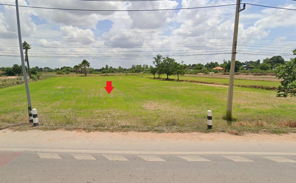 ที่ดินด่านขุนทด ติดถนน นม.3012 เจ้าของขายเอง 4