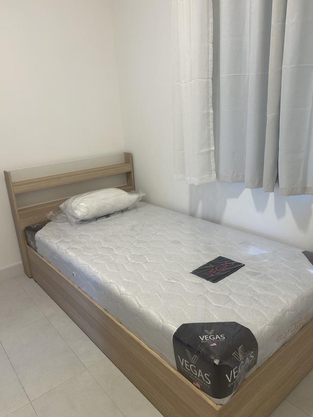 🏡 บ้านเดี่ยว 2 ชั้น สารภี ใกล้นานาชาติ Unity & ACIS เพียง 10 นาที! Two-Storey House for Rent - Saraphi, 10 mins to Unity & ACIS School 12