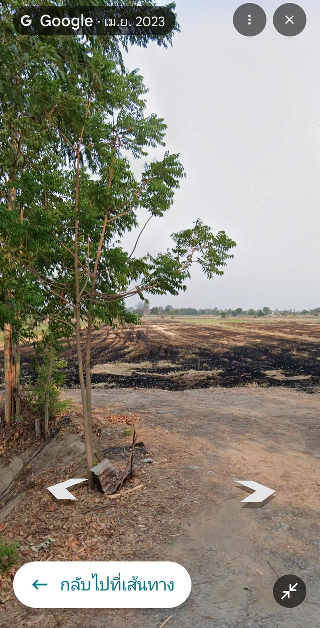 ขายที่ดินสวยอำเภออู่ทอง 3