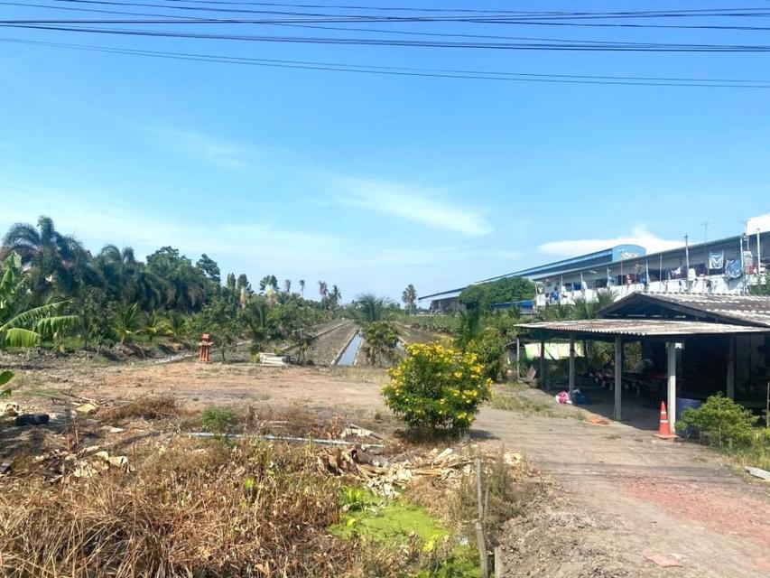 ขายที่ดินเปล่า 8 ไร่ 1 งาน 15 ตร.วา ติดถนนเส้น 375 นครปฐม - ดอนตูม 3