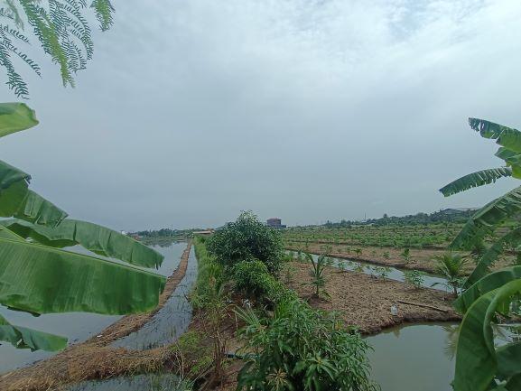 ขายทาวน์เฮาส์ หมู่บ้านณิชากร 3 ถนนพุทธมณฑลสาย 4 กระทุ่มล้ม สามพราน นครปฐม 2