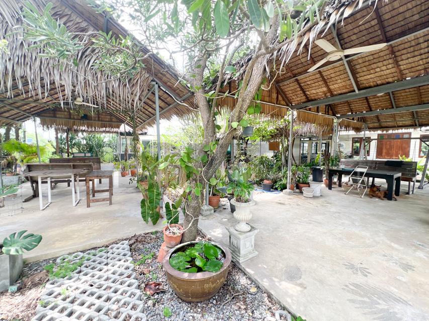 ขาย ที่ดินจัดสรร ลำลูกกา คลอง16 องครักษ์ 8