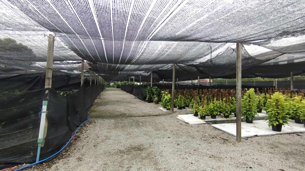 ให้เช่า ที่ดิน ราชพฤกษ์ นนทบุรี ทำเลดี 1-3-0 ไร่ เหมาะทำโกดัง 2