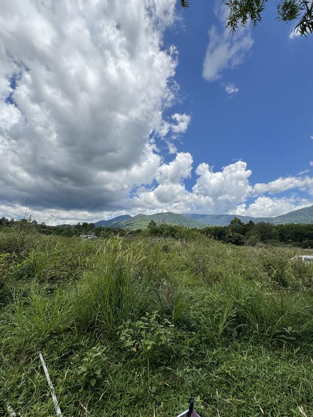 ที่ดินแถวอำเภอช้างกลาง จังหวัดนครศรีธรรมราช 7