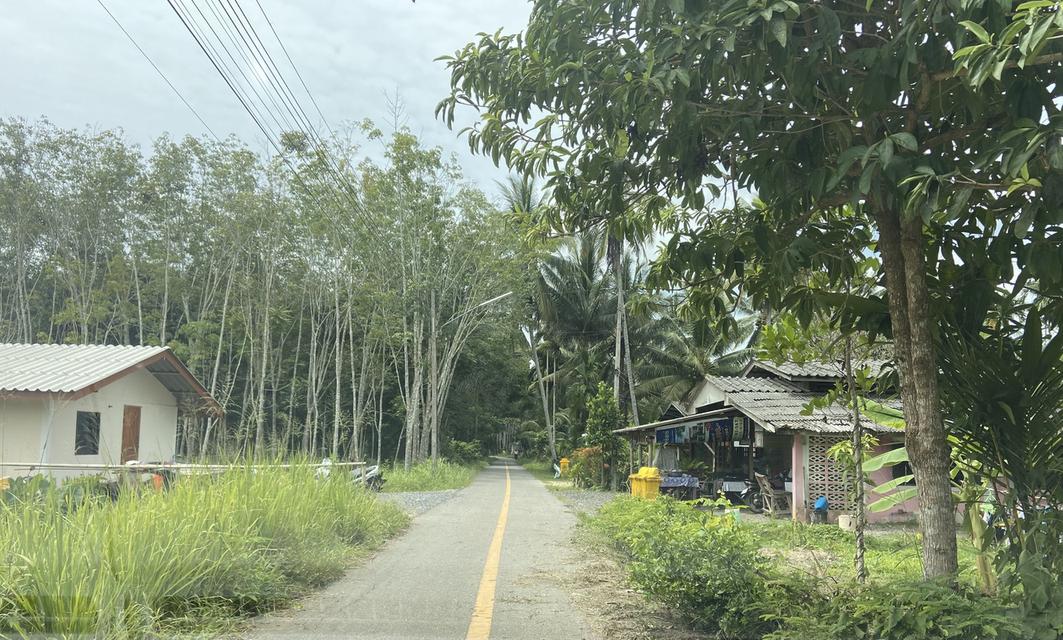 ทีดินปัตตานี 2