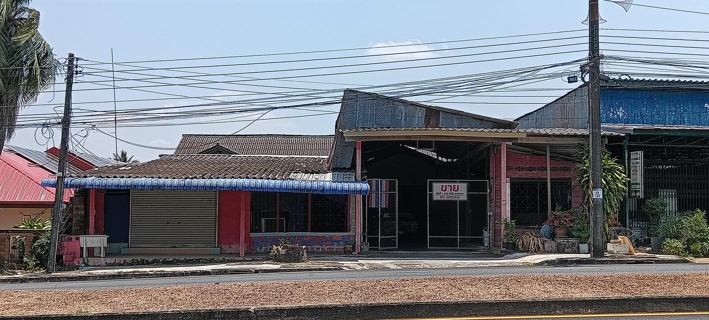 ที่ดินแถมสิ่งปลูกสร้างทำเลดี น้ำไม่ท่วมติดถนนใหญ่สายหลัก เหมาะสำหรับเปิดธุรกิจ อยู่อาศัย หรือโกดัง ใกล้ตัวเมือง โรงพยาบาล โรงเรียน ห้างสรรพสินค้า 1