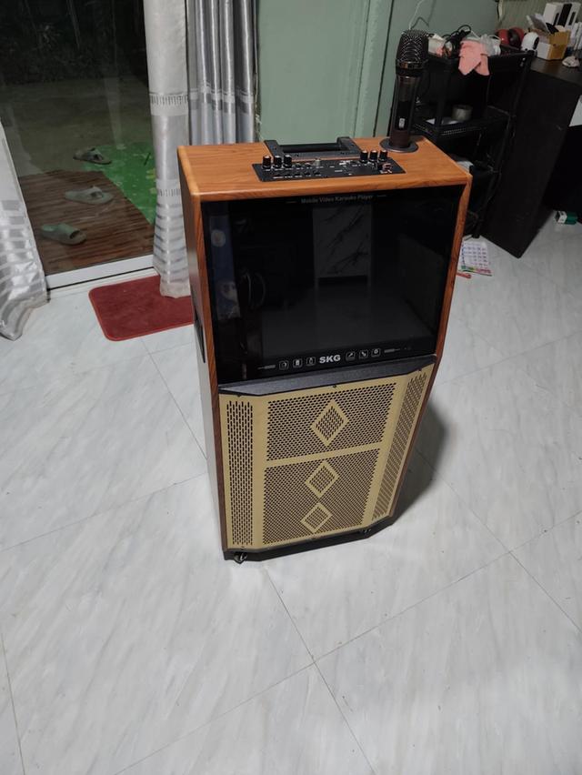 ลำโพงคาราโอเกะSKG AV-8119