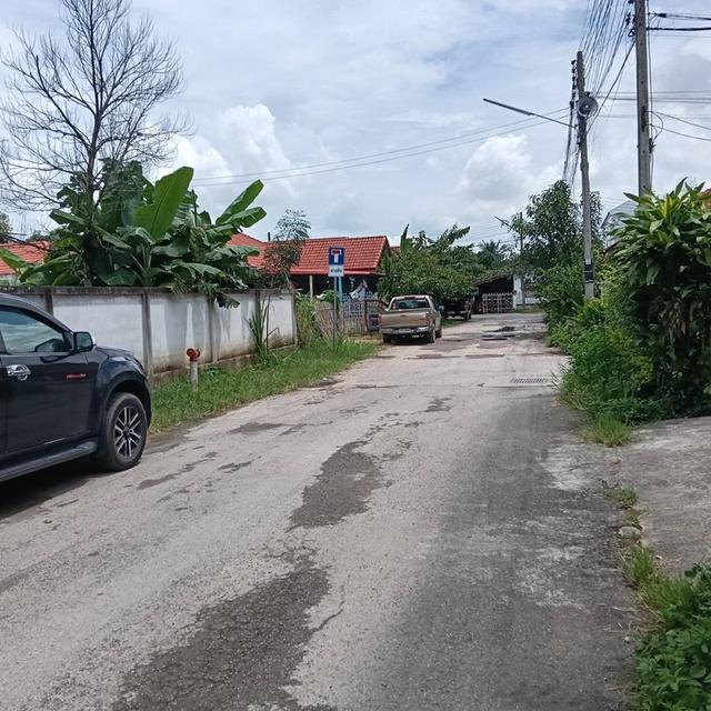 ขายที่ดินใกล้เมืองเชียงใหม่ 7