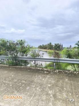 ขายที่ดิน พื้นที่สีม่วง ถ.สุขุมวิทบางนา ตราด ใกล้นิคมอุตสาหกรรมเวลโก เนื้อที่10ไร่32ตรว 4