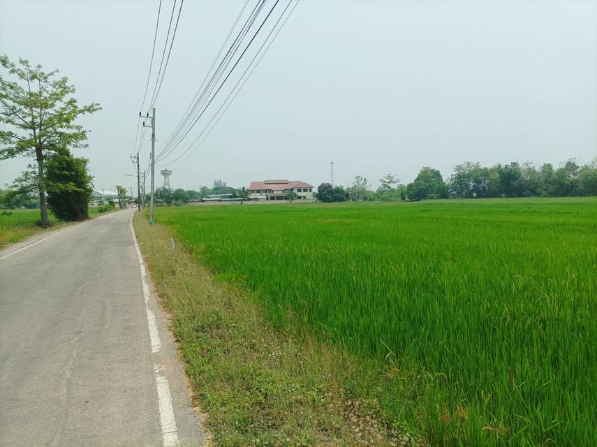 ขายที่ดิน ราคา8,000บาท/ตร.ว. ต.สง่าบ้าน อ.ดอยสะเก็ด จ.เชียงใหม่ 11