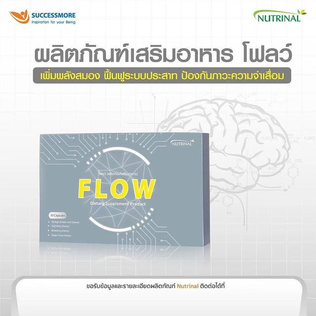 FLOW 2