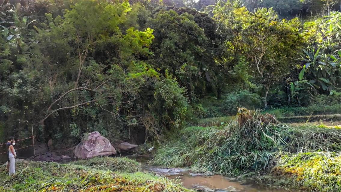 ที่ดินติดลำธารใกล้น้ำตก