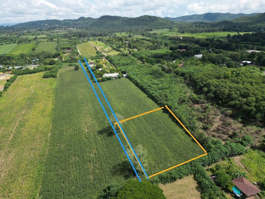 🔥 ขายที่ดินทำเลดี ปากช่อง นครราชสีมา 🔥 1