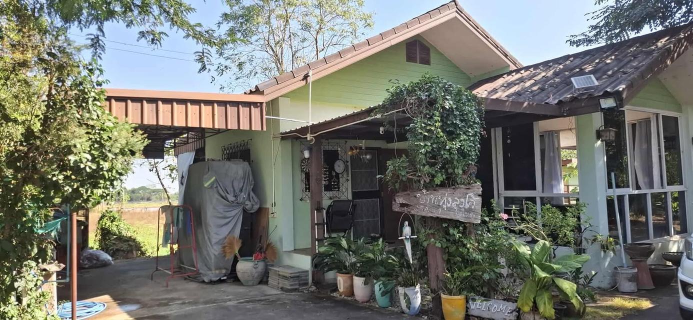 5 ไร่ ทางเข้าไทวัสดุ  โคราช บายพาส ปักธงชัย - จอหอ  9.8 ล้าน 10