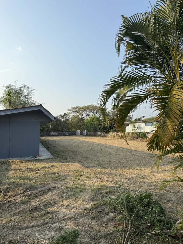 ขายที่ดินพร้อมสิ่งปลูกสร้าง 2