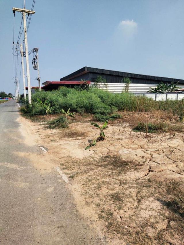 รูป ขาย ที่ดิน บึงอ้ายเลียบ ตำบล คลองห้า อำเภอคลองหลวง ปทุมธานี 3