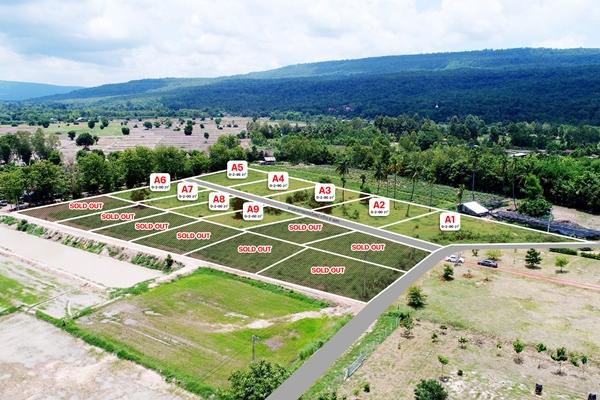 ขายที่ดินวิวเขาวังทอง 1