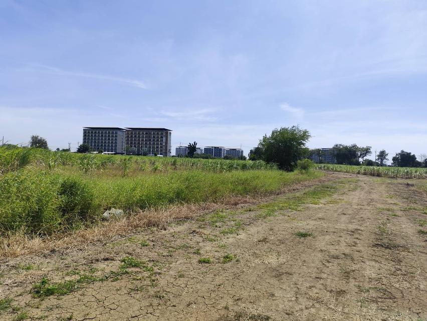 ขายที่ดินเปล่ายกแปลง 5 ไร่ โฉนด สวยมากก อาจจะแบ่งขายได้ พร้อมเจรจาคนซื้อจริงๆ นครปฐม 6