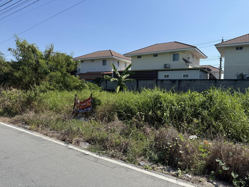 ที่ดินถมแล้ว ไทรน้อย 1