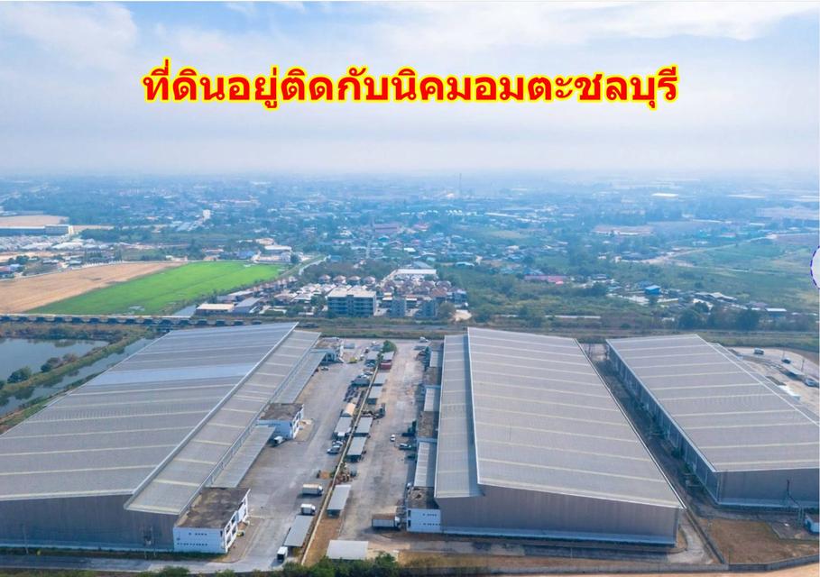 ขายที่สีม่วง  31  ไร่ ใกล้ถนนเลียบมอเตอร์เวย์ สาย 7 ใกล้นิคมอมตะ ชลบุรี  ต.บางนาง อ.พานทอง จ.ชลบุรี 2