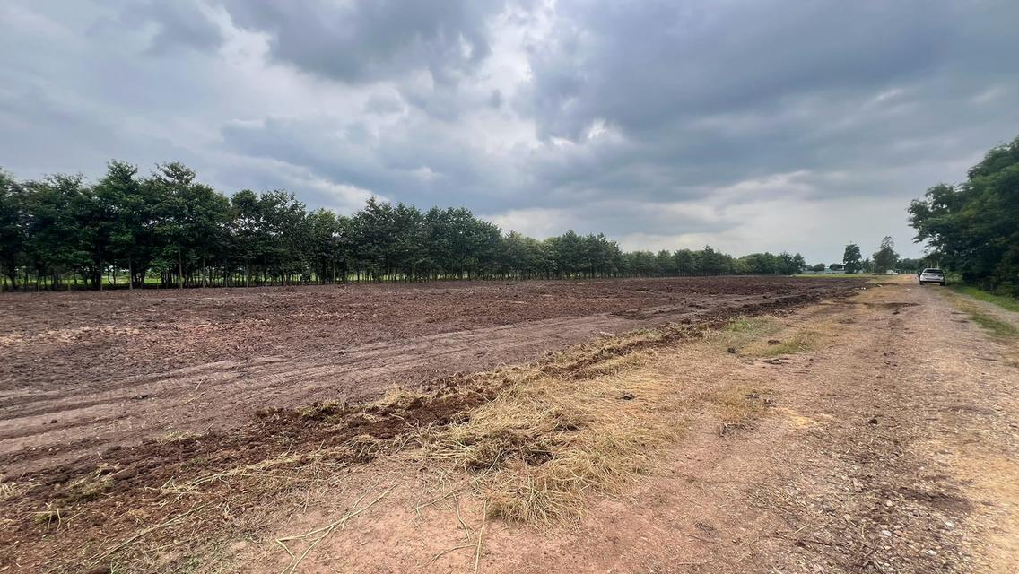 ขายที่ดินเปิดแปลงใหม่ คลอง 11 ตำบล บึงบา อำเภอ หนองเสือ ปทุมธานี 13