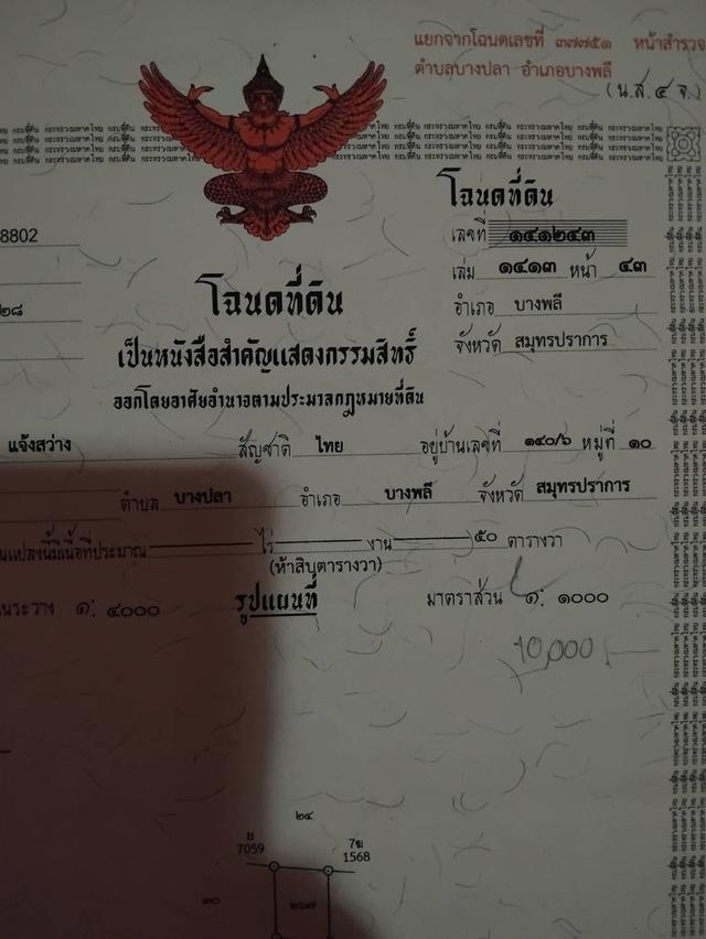 ขายที่ดินเปล่าราคาต่อรองกันได้ขายล้าน 7ทำเลดีตรงข้ามตลาดเรือบินแหล่งธุรกิจ 2