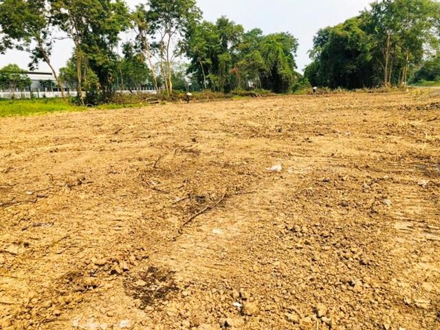 เดอะคริสตัล ชัยพฤกษ์ 1.9 กม. BTS ปากเกร็ด 4.9 กม. แม็คโคร ให้เช่าที่ดิน 2 ไร่ (800 ตร.วา.) ถนนชัยพฤกษ์ ทำเลศักยภาพสูง หน 4