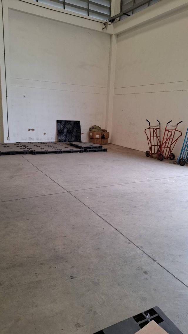 ขายที่ดินพร้อมสิ่งปลูกสร้าง เนื่อทีา603ตารางวา 10