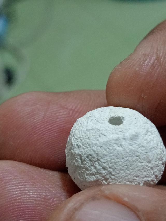 ลูกอมหลวงปู่ดู่ วัดสะแก 10