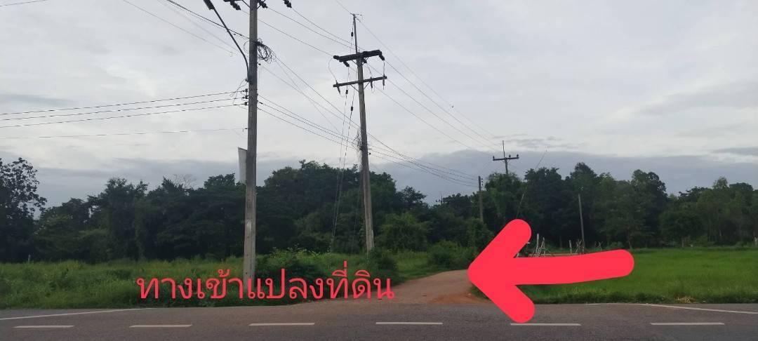 ที่ดินเปล่า (ปลูกต้นยูคาลิปตัส) 60 ไร่ 2 งาน 301 ตร.วา 6