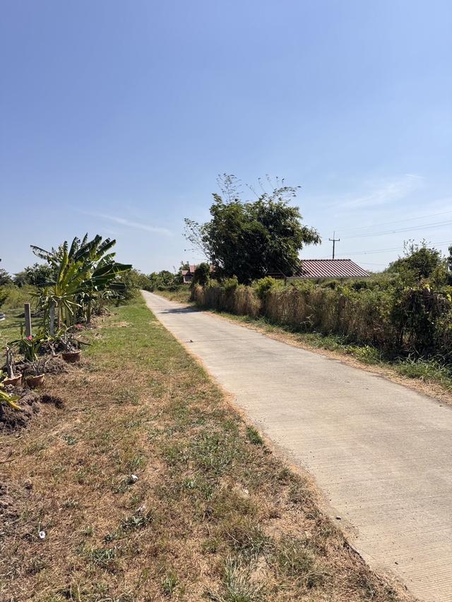 ขายที่ดิน อำเภอเมืองฉะเชิงเทรา ใกล้สถานีรถไฟ เปรง 8
