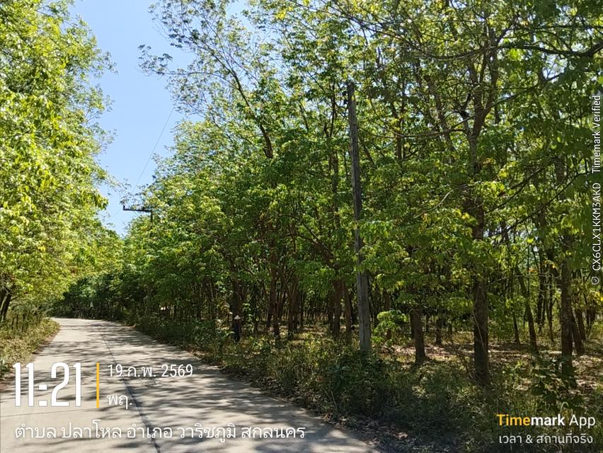 ขายด่วนที่ดิน13ไร่เศษโฉนดครุฑแดงโอนฟรีไม่มีค่าใช้จ่าย2,000,000 4