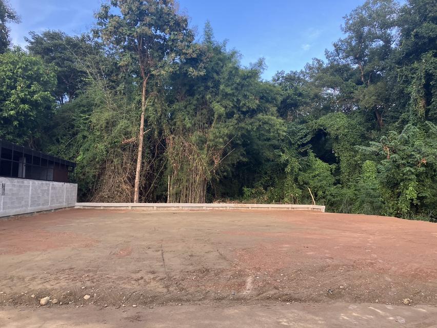 ที่ดินสำหรับสร้างบ้านหลังเกษียณในฝัน! ราคา 3 ล้านบาท (145 ตารางวา) ใกล้เมืองเชียงใหม่เพียง 9 กม. 1