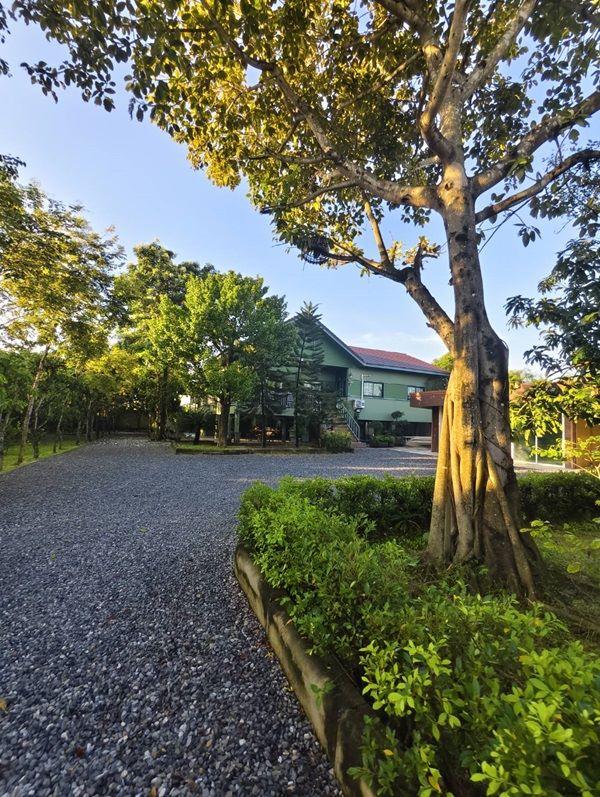 ขายบ้านสวน พร้อมที่ดิน 3 ไร่ อ.หนองเสือ จ.ปทุมธานี น้ำไม่ท่วม พร้อมเข้าอยู่ โทร 086-7777215 เจ้าของขายเอง 1