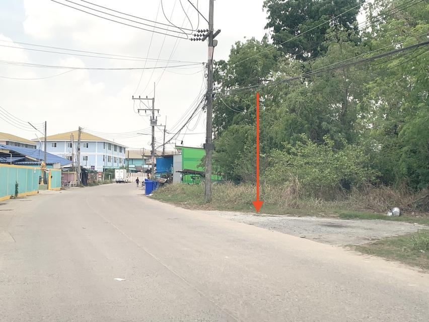 ขายที่ดินทำเลดี เนื้อที่ 5-0-21ไร่ หนองตำลึง พานทอง ชลบุรี ที่ดินหน้ากว้าง 60เมตร ลึก 120เมตร ที่ดินไม่ต้องถมเหมาะสร้างหอพัก 1