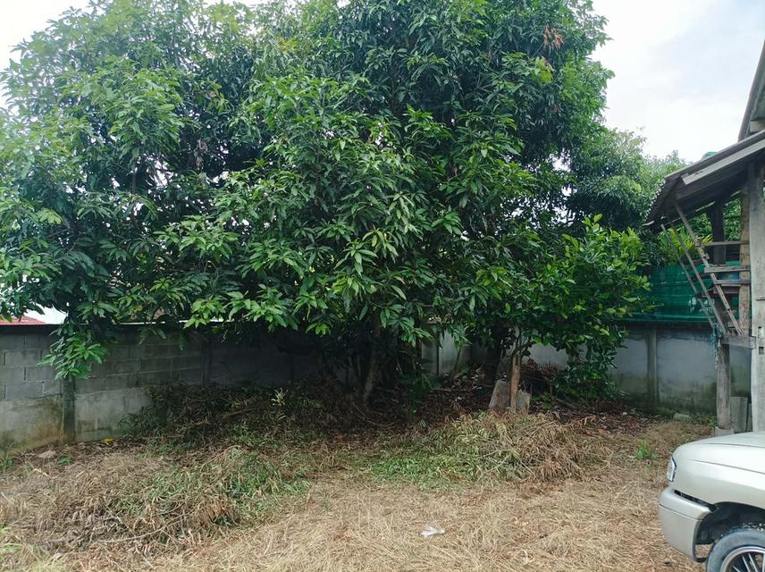 ขายที่ดิน 95ตร.ว. ต.เชิงดอย อ.ดอยสะเก็ด จ.เชียงใหม่ รูปย่อยที่ 1