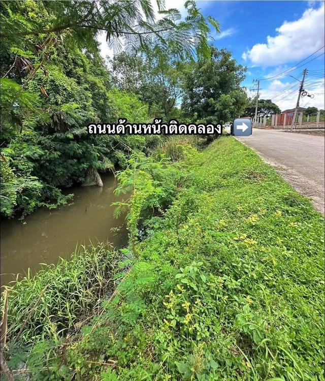 ขายที่ดิน267ตรว.ที่สวยติด3ถนนติดคลองเจ้าพระยา 11